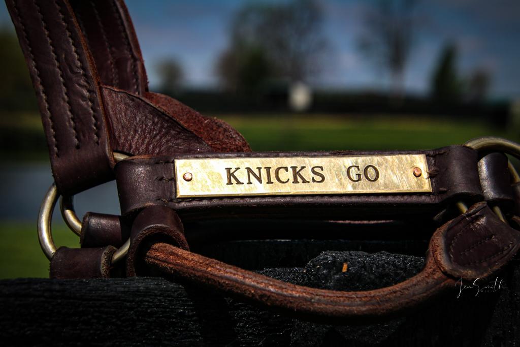 An item for auction at ABR’s Pre-Preakness Party Benefiting Thoroughbred Aftercare. 